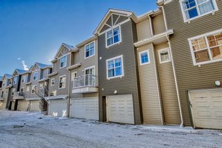Photo 45: 169 Elgin Gardens SE in Calgary: McKenzie Towne Row/Townhouse for sale : MLS®# A2022223