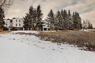 Photo 25: 1402 13104 ELBOW Drive SW in Calgary: Canyon Meadows Row/Townhouse for sale : MLS®# C4287241