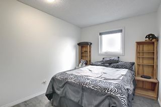 Photo 22: 94 Erin Meadow Close SE in Calgary: Erin Woods Detached for sale : MLS®# A1135362