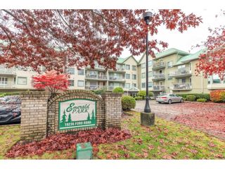 Photo 1: 204 19236 FORD Road in Pitt Meadows: Central Meadows Condo for sale in "EMERALD PARK" : MLS®# R2630213