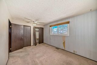 Photo 21: 3224 108 Avenue SW in Calgary: Cedarbrae Detached for sale : MLS®# A2124475