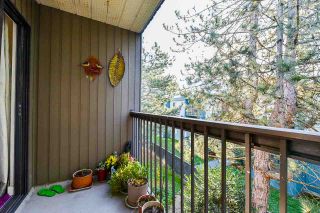 Photo 16: 333 1783 AGASSIZ-ROSEDALE Highway: Agassiz Condo for sale in "THE NORTHGATE" : MLS®# R2417826