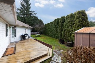 Photo 2: 23194 124A Avenue in Maple Ridge: East Central House for sale : MLS®# R2855869