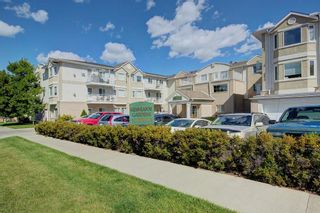 Photo 23: #212 2850 51 ST SW in Calgary: Glenbrook Condo for sale : MLS®# C4280669