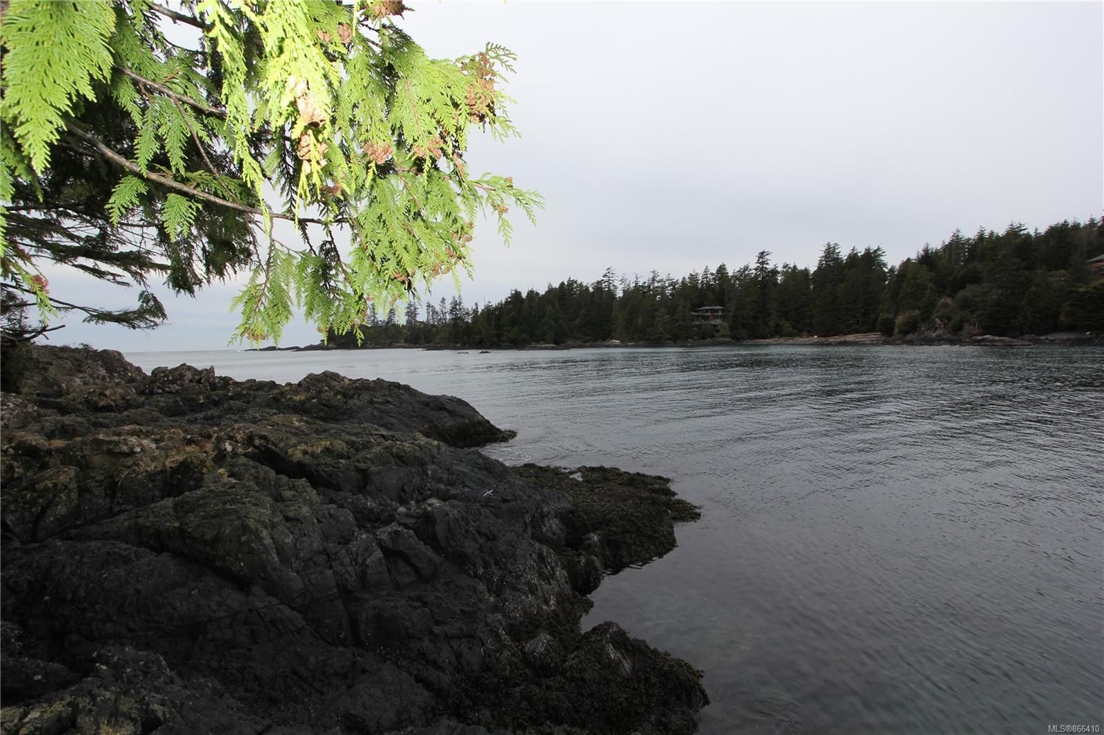 Main Photo: 1172 Coral Way in Ucluelet: PA Ucluelet Land for sale (Port Alberni)  : MLS®# 866410