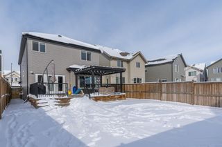 Photo 30: 9 Copperpond Street SE in Calgary: Copperfield Detached for sale : MLS®# A1184678