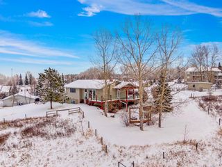 Photo 1: 242069 8 Street E: Rural Foothills County Detached for sale : MLS®# A1190701