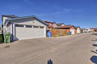 Photo 32: 268 Saddlecrest Boulevard NE in Calgary: Saddle Ridge Detached for sale : MLS®# A2089852