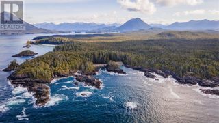 Photo 3: Lot A Vargas Island in Tofino: Vacant Land for sale : MLS®# 956243