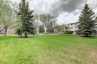 Photo 37: 45 3015 51 Street SW in Calgary: Glenbrook Row/Townhouse for sale : MLS®# A1221245