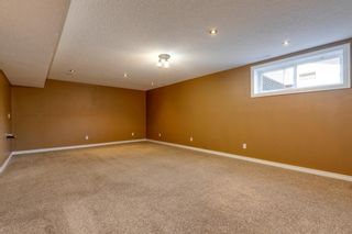 Photo 38: 204 Prestwick Mews SE in Calgary: McKenzie Towne Detached for sale : MLS®# A1216863