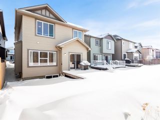 Photo 33: 255 Panora Way NW in Calgary: Panorama Hills Detached for sale : MLS®# A2031505