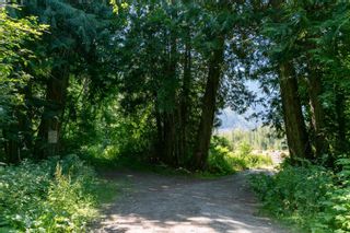 Photo 31: 9505 LILLOOET FOREST SERVICE Road in Pemberton: Pemberton Meadows Land for sale : MLS®# R2727152