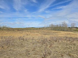Photo 7: 503 Dunes Ridge Drive: Rural Ponoka County Land for sale : MLS®# CA0129828