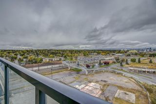 Photo 15: 1107 8710 Horton Road SW in Calgary: Haysboro Apartment for sale : MLS®# A2041658