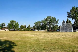 Photo 50: 99 Marwood Circle NE in Calgary: Marlborough Detached for sale : MLS®# A1252653