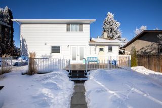 Photo 37: 40 Conners Crescent: Red Deer Detached for sale : MLS®# A2016834