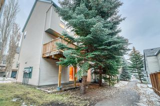 Photo 20: 335 Bridlewood Lane SW in Calgary: Bridlewood Row/Townhouse for sale : MLS®# A2009616