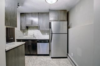 Photo 8: 101 817 5 Street NE in Calgary: Renfrew Apartment for sale : MLS®# A1173709