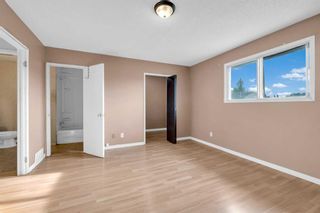 Photo 17: 223 Pinemill Mews NE in Calgary: Pineridge Semi Detached (Half Duplex) for sale : MLS®# A2066427