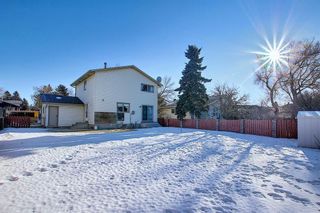 Photo 31: 3711 39 Street NE in Calgary: Whitehorn Detached for sale : MLS®# A1063183