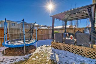 Photo 33: 67 Legacy Glen Row SE in Calgary: Legacy Detached for sale : MLS®# A2120382