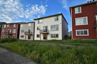 Photo 33: 130 Cityspring Manor NE in Calgary: Cityscape Detached for sale : MLS®# A2021413