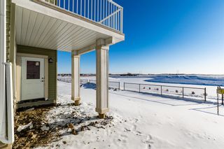 Photo 36: 163 Chelsea Grove: Chestermere Detached for sale : MLS®# A2015586