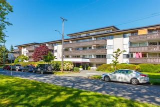 Photo 1: 210 964 Heywood Ave in Victoria: Vi Fairfield West Condo for sale : MLS®# 861101