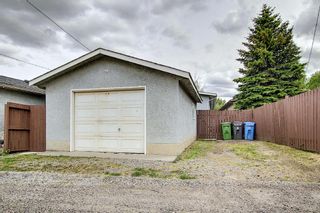 Photo 47: 19 DOVERVILLE Way SE in Calgary: Dover Semi Detached for sale : MLS®# A1122005