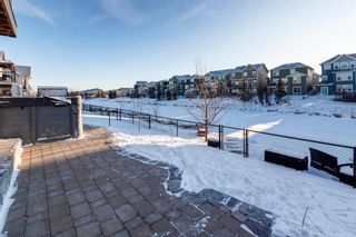 Photo 36: 1047 Bayside Drive SW: Airdrie Detached for sale : MLS®# A2101780