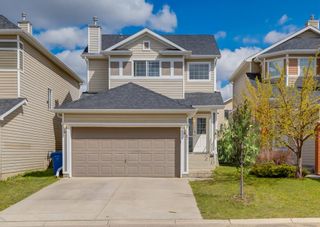 Photo 33: 87 Royal Elm Way NW in Calgary: Royal Oak Detached for sale : MLS®# A1221119