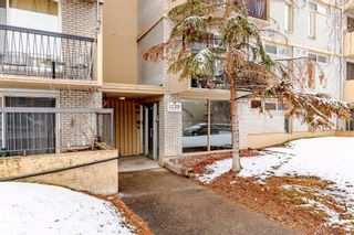 Photo 2: 303 1129 Cameron Avenue SW in Calgary: Lower Mount Royal Apartment for sale : MLS®# A2123648