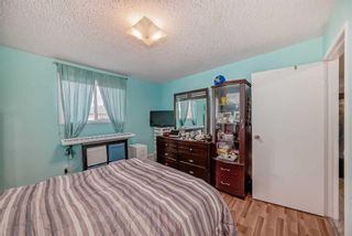 Photo 21: 118 20 Dover Point SE in Calgary: Dover Apartment for sale : MLS®# A2124249