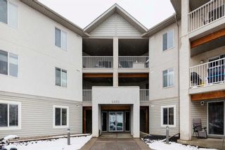 Photo 2: 104 4000 Citadel Meadow Point NW in Calgary: Citadel Apartment for sale : MLS®# A2128486