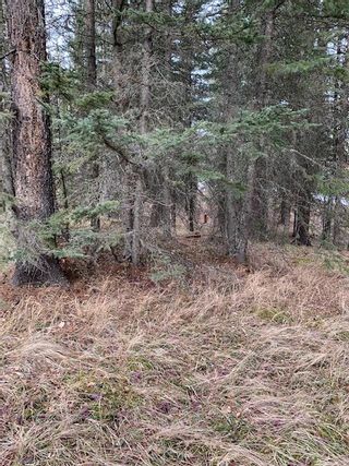 Photo 12: 231057 Rge Rd 54: Bragg Creek Residential Land for sale : MLS®# A1118605