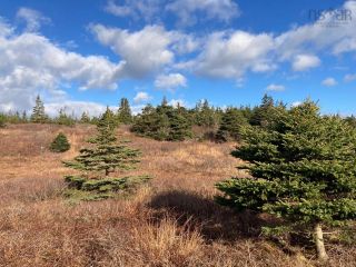 Photo 11: Lot C1 East Jeddore Road in East Jeddore: 35-Halifax County East Vacant Land for sale (Halifax-Dartmouth)  : MLS®# 202214751