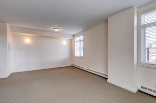 Photo 17: 433 910 Centre Avenue NE in Calgary: Bridgeland/Riverside Apartment for sale : MLS®# A1075371