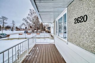 Photo 17: 2620 40 Street SE in Calgary: Forest Lawn Detached for sale : MLS®# A2030771