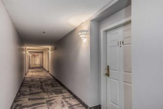 Photo 39: 114 7 Harvest Gold Manor NE in Calgary: Harvest Hills Apartment for sale : MLS®# A2093308