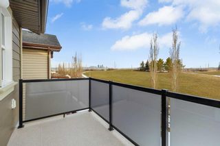 Photo 22: 206 Valleyview Court SE in Calgary: Dover Detached for sale : MLS®# A2120691