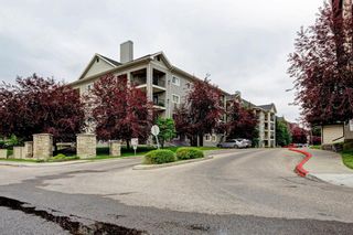 Photo 32: 1307 4975 130 Avenue SE in Calgary: McKenzie Towne Apartment for sale : MLS®# A1242456