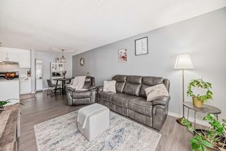 Photo 9: 202 5555 Falsbridge Drive NE in Calgary: Falconridge Apartment for sale : MLS®# A2118008
