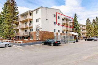 Photo 17: 401 3420 50 Street NW in Calgary: Varsity Apartment for sale : MLS®# A2127023