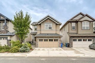 Main Photo: 28 Skyview Springs Crescent NE in Calgary: Skyview Ranch Detached for sale : MLS®# A2076006
