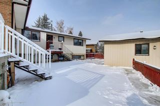 Photo 48: 56 Rundlefield Close NE in Calgary: Rundle Detached for sale : MLS®# A1184908