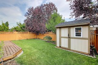 Photo 41:  in Calgary: Cranston Detached for sale : MLS®# A1024102