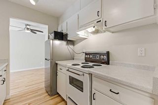 Photo 5: 407 819 4A Street NE in Calgary: Renfrew Apartment for sale : MLS®# A2141973