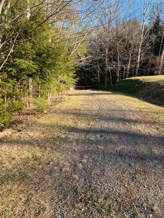 Photo 5: Lot Saunders Road in Durham: 108-Rural Pictou County Vacant Land for sale (Northern Region)  : MLS®# 202129627