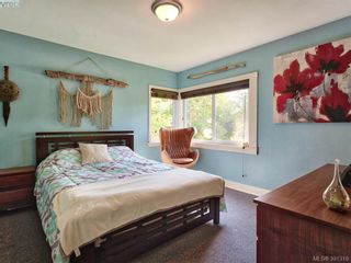 Photo 11: 3700 Winston Cres in VICTORIA: SE Quadra House for sale (Saanich East)  : MLS®# 786584